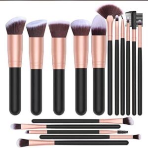 16IN1 KABUKI BRUSH SET