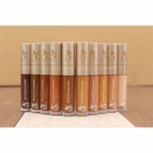 ADVENTURE CONCEALER