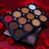 AVOUR 12IN1 POWDER PALLETE