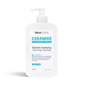 FACE FACT BLEMISH CLEANSER