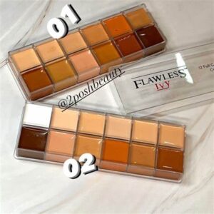 FLAWLESS CONCEALER PALLATE
