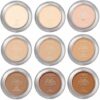 LOREAL TRUE MATCH SINGLE POWDER