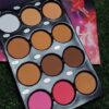 MICOLOR BIG 12IN1 POWDER PALLET
