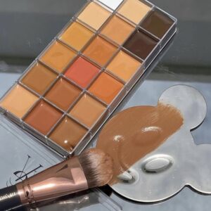 VEE BEAUTY CONCEALER PALLETE