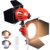 RED HEAD LED LIGHT