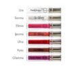 PAULA B LIPGLOSS